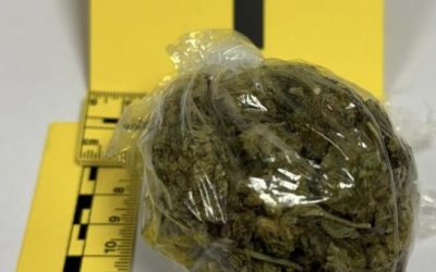 Policijski službenici PU Široki Brijeg zaplijenili marihuanu