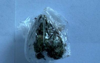 Postupanje policije u Grudama rezultiralo oduzimanjem opojne droge