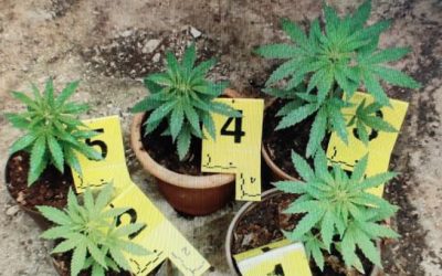 PRETRES KUĆE, OKUĆNICE I PRATEĆIH OBJEKATA – LJUBUŠKI