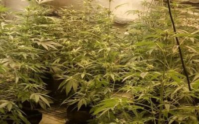 Nastavak akcije “LORD”