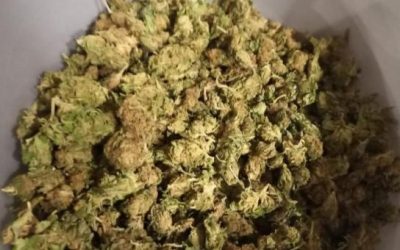 POSJEDOVANJE I OMOGUĆAVANJE UŽIVANJA OPOJNIH DROGA