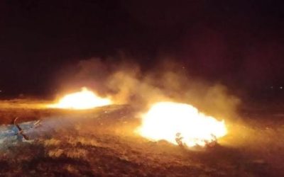 Spaljivanje korova i niskog raslinja