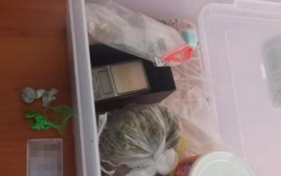 NEOVLAŠTENA PROIZVODNJA I STAVLJANJE U PROMET OPOJNIH DROGA – POSUŠJE