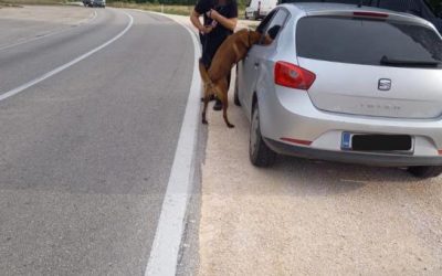 AKCIJA “KOTA 22”