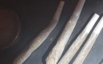 POSJEDOVANJE I OMOGUĆAVANJE UŽIVANJA OPOJNIH DROGA