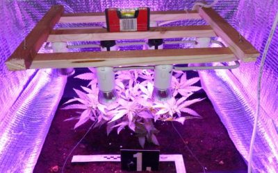 PRETRES U LJUBUŠKOM