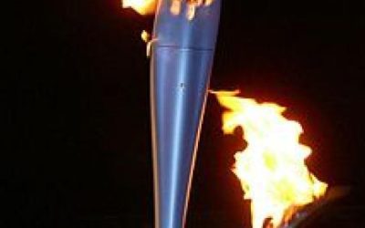 Nasilničko ponašanje