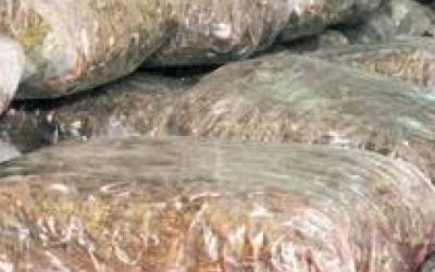 Akcija “LORD” u Grudama