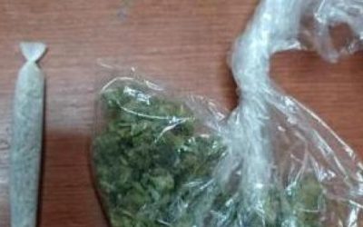 ZAPLJENA MARIHUANE U POSUŠJU